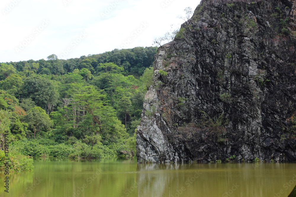 Lake in the national park of Singapore with green plants and high black rock