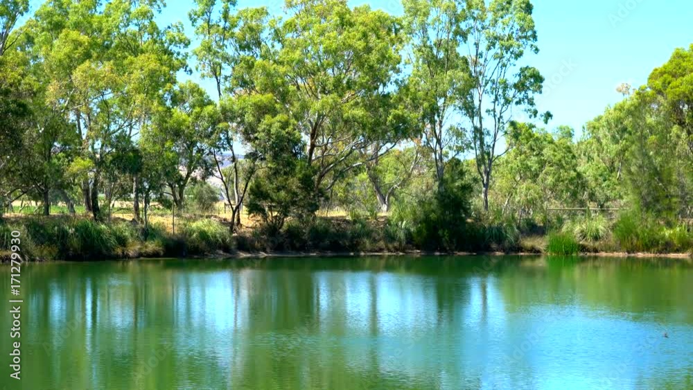4k Large pond in natural Australian bush setting 4k Large pond in natural Australian bush setting