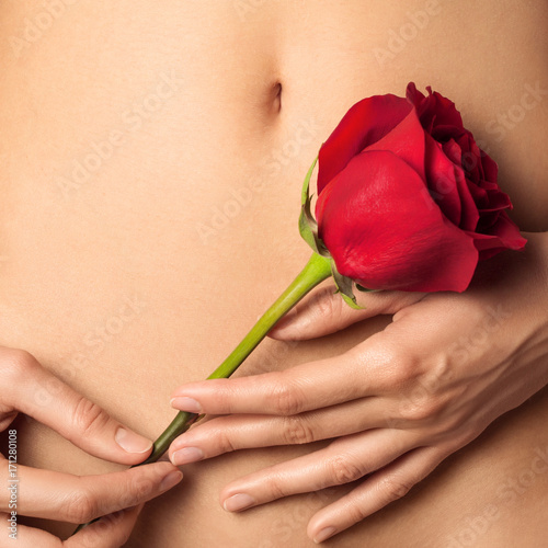 Woman belly and hands holding red rose. Space for text. photo