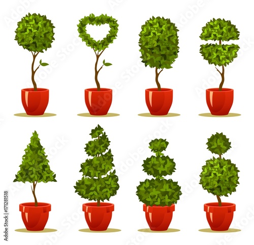 set tree in a pot