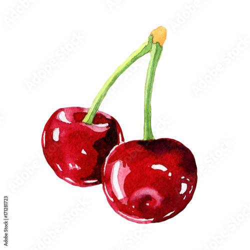 Cherry healthy food in a watercolor style isolated. Full name of the fruit: cherry. Aquarelle wild fruit for background, texture, wrapper pattern or menu.