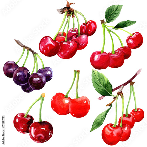 Cherry healthy food in a watercolor style isolated. Full name of the fruit: cherry. Aquarelle wild fruit for background, texture, wrapper pattern or menu.