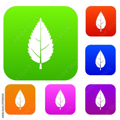 Hornbeam leaf set color collection