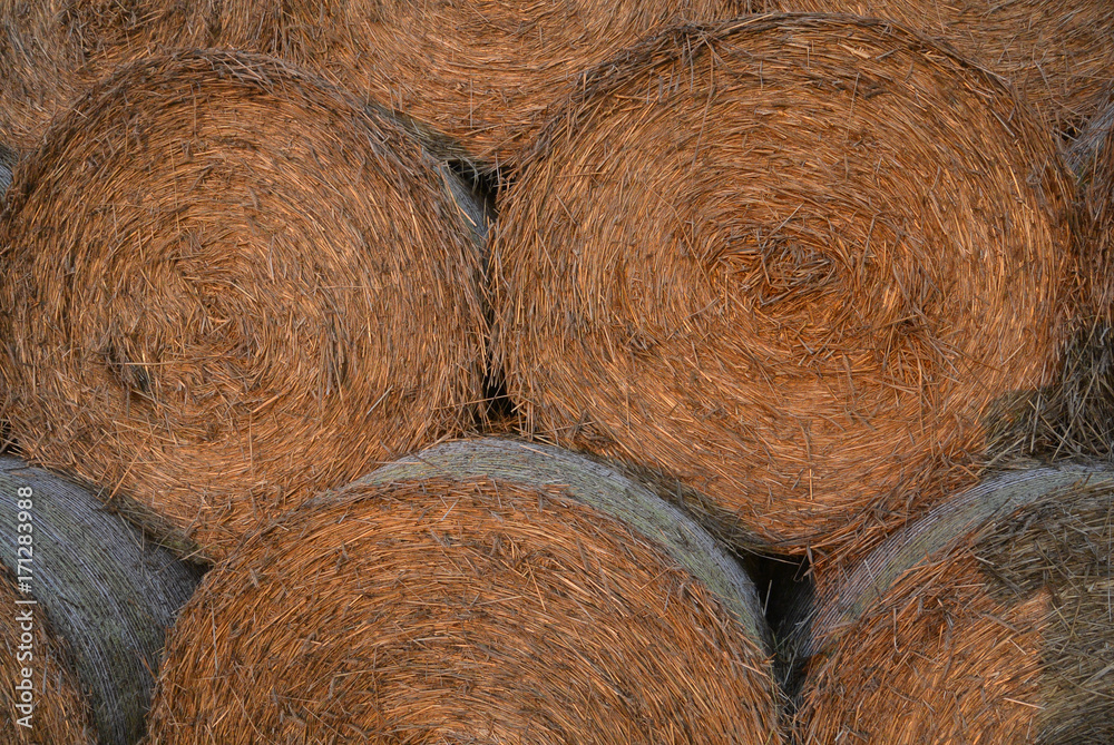 Strohballen rund Strohballen rund