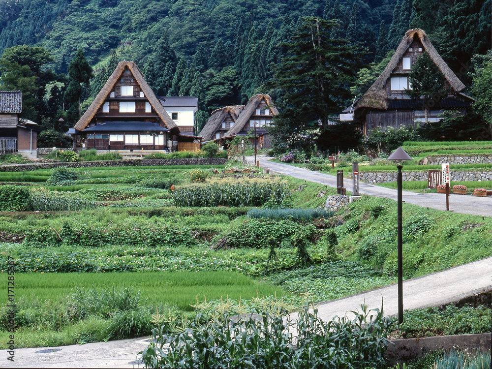 日本の農村風景