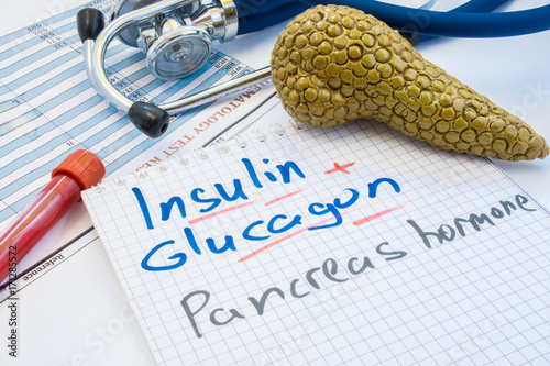 Pancreas gland hormones insulin and glucagon concept photo. Notepad inscribed with insulin and glucagon is near figures of pancreas, lab test tube with blood and stethoscope  photo