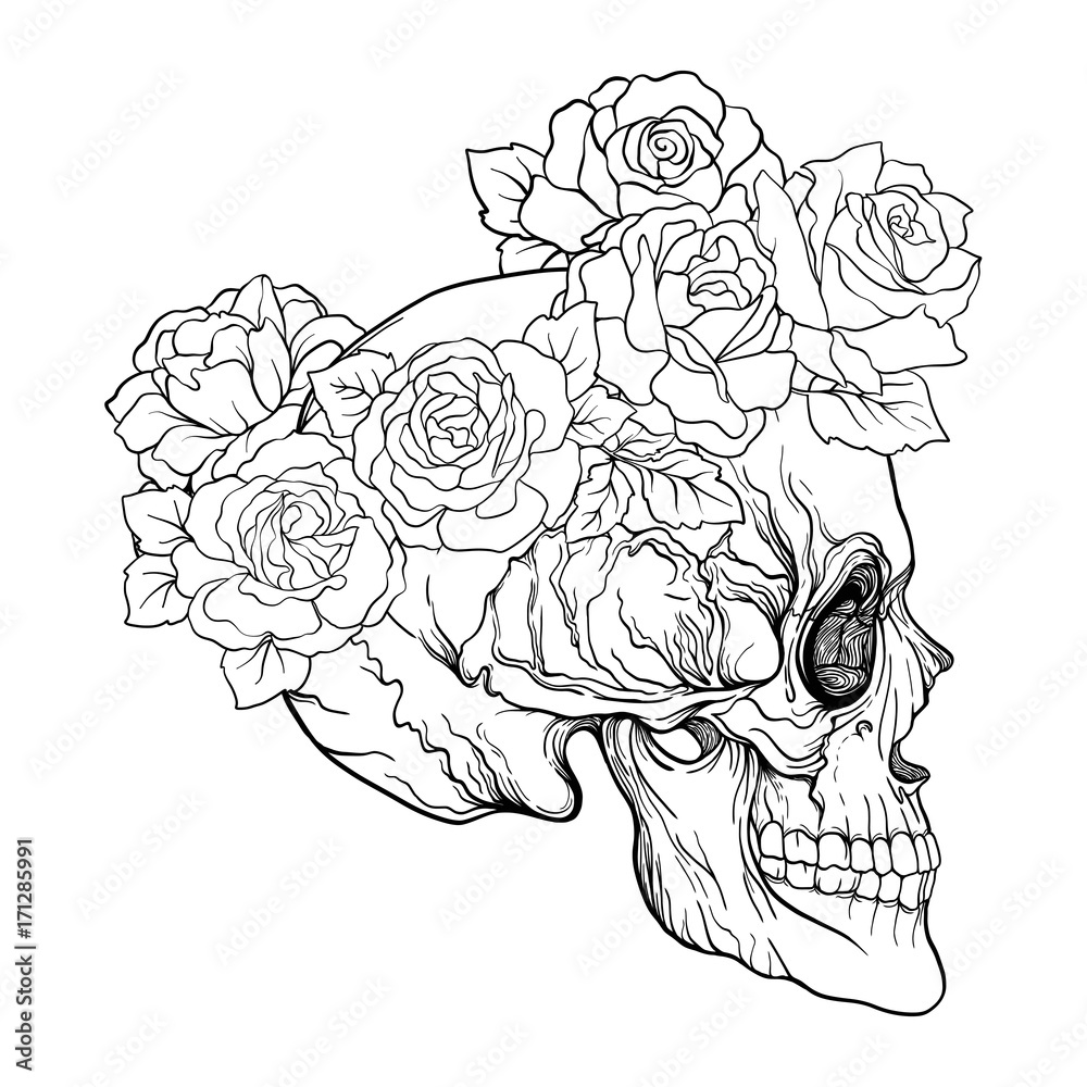 Sugar skull with decorative pattern and a wreath red roses. Stock line vector illustration. Outline hand drawing coloring page for adult coloring book. | Adobe Stock
