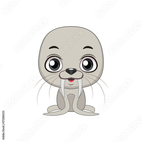 Cute stylized cartoon walrus illustration ( for fun educational purposes, illustrations etc. )
