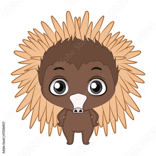 Quadro em tela Cute stylized cartoon echidna illustration ( for fun educational purposes, illustrations etc