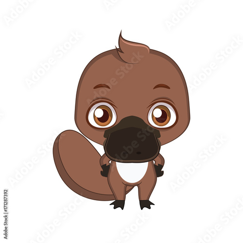Cute stylized cartoon platypus illustration ( for fun educational purposes, illustrations etc. )
