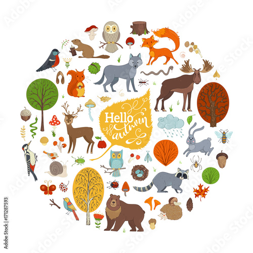 Big vector set of wild animals and autumn woodland elements.