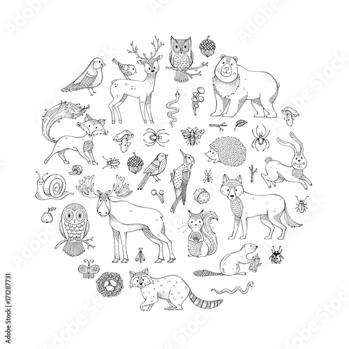 Vector set of doodles wild animals and woodland elements.