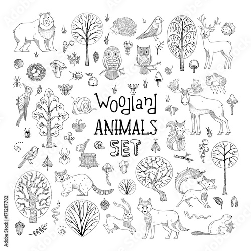 Vector doodles woodland animals set.