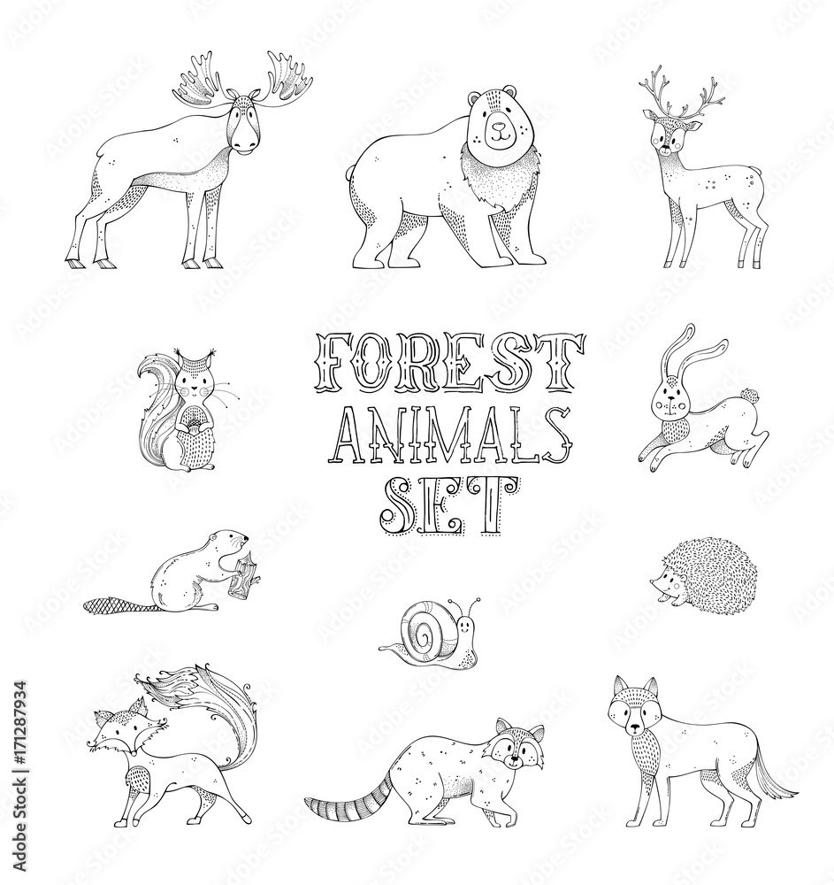 Vector doodles set of wild forest animals. Vector doodles set of wild forest animals.