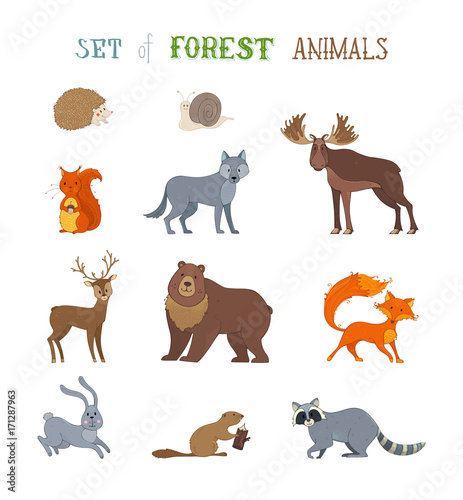 Vector set of wild forest animals made in cartoon style.