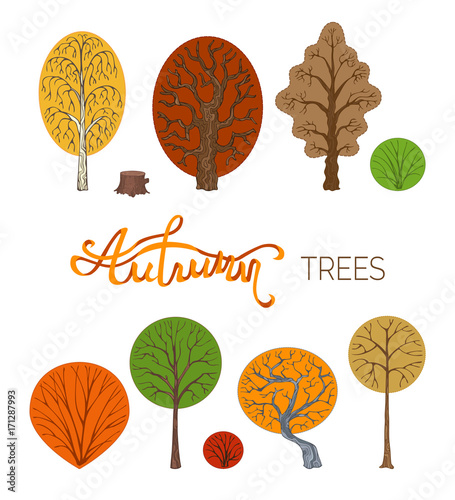 Vector set of autumn trees isolated on white background.