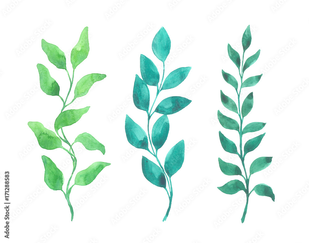 Bright watercolor leaf isolated white background Bright watercolor leaf isolated white background
