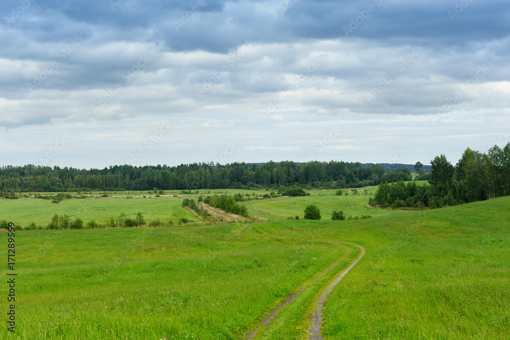 field road in early autumn in the northwest of Russia