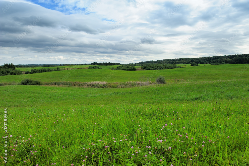 green field in thick weather in early autumn