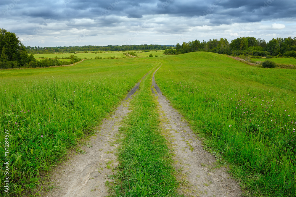 field road in thick weather in early autumn field road in thick weather in early autumn