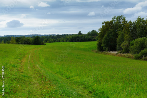 field road in thick weather