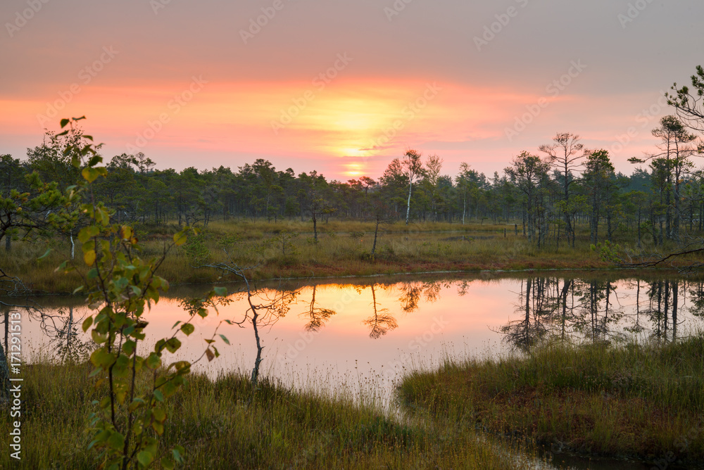 Natural Sunset Sunrise Over swamp