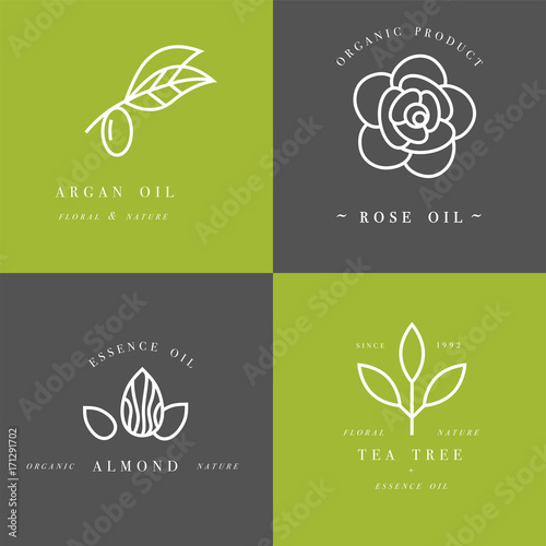 Vector set of packaging design templates and emblems in linear style - beauty and cosmetics oils - argan, rose, almond and tea tree