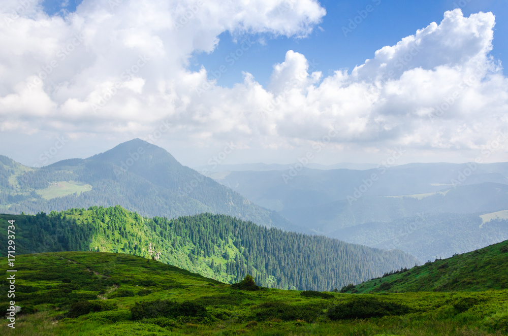 Travel, trekking. Summer landscape - mountains, green grass, trees and blue sky. Horizontal frame