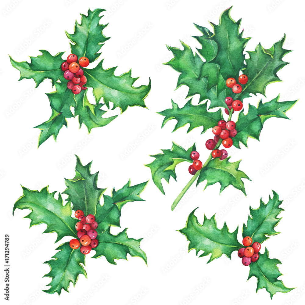 Fototapeta premium Set Holly twig (Ilex, Christ's thorn) Holiday, traditional Christmas decoration for greeting card, invitation. Noel, New Year. Watercolor hand drawn painting illustration isolated on white background.