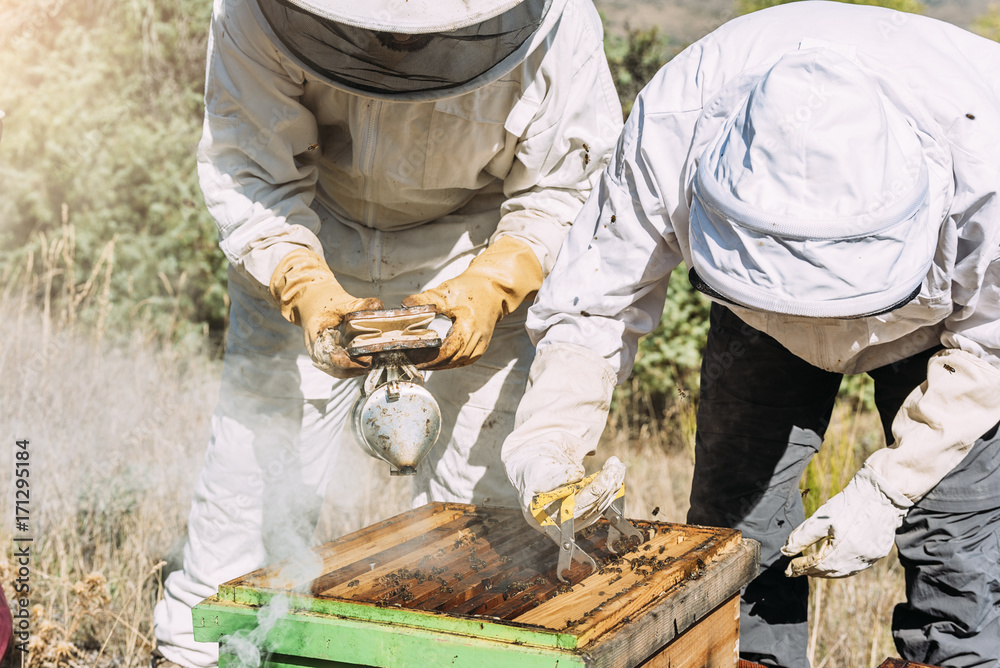 Beekeepers working collect honey. Beekeepers working collect honey.