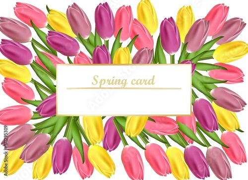 Tulips card Vector realistic flowers illustration for women day, wedding, bir...
