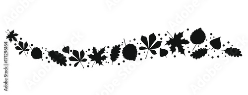 Laubblätter schwarz weiß