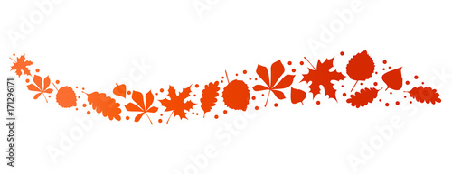 Laubblätter im Herbst