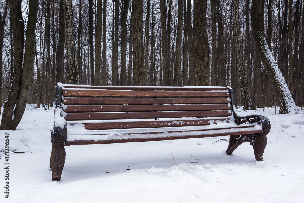 old bench in winter park