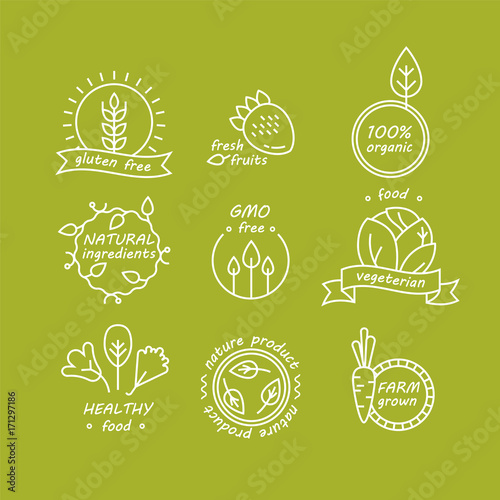 Vector set of green and organic products labels and badges - collection of different icons and illustrations related to fresh and healthy food