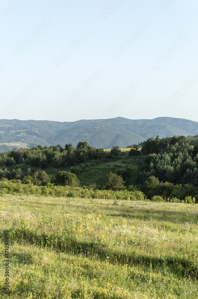 Obraz premium Green Hills, Bulgaria