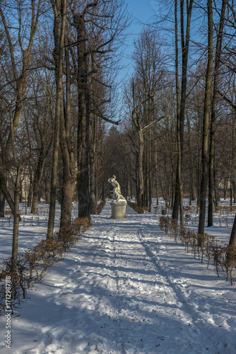 Fototapeta Naklejka Na Ścianę i Meble -  Rzeźba w parku