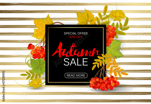 Autumn rowan frame on a golden striped background. Perfect for autumn sale, school or Thankgiving day banners decoration. Vector illustration.