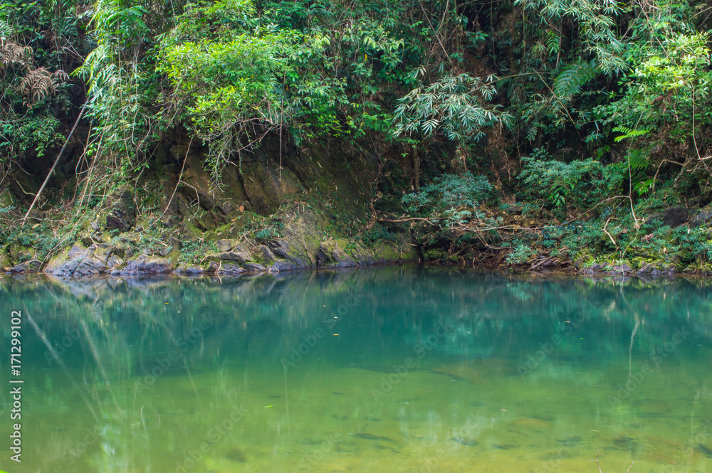 Scenery in Khao Sok National Park in Thailand. Khao Sok National Park the rain jungle forest in Surat Thani province Scenery in Khao Sok National Park in Thailand. Khao Sok National Park the rain jungle forest in Surat Thani province