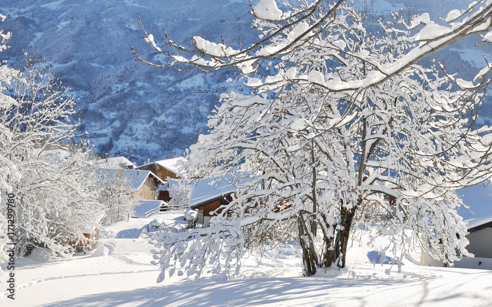 branches d'arbre recouvertes de neige près d'un village en montagne  - obrazy, fototapety, plakaty 