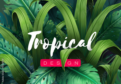 Bright tropical background with jungle plants. Exotic pattern with tropical leaves