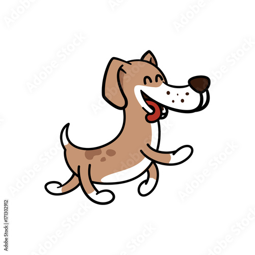 happy dog walk carefree