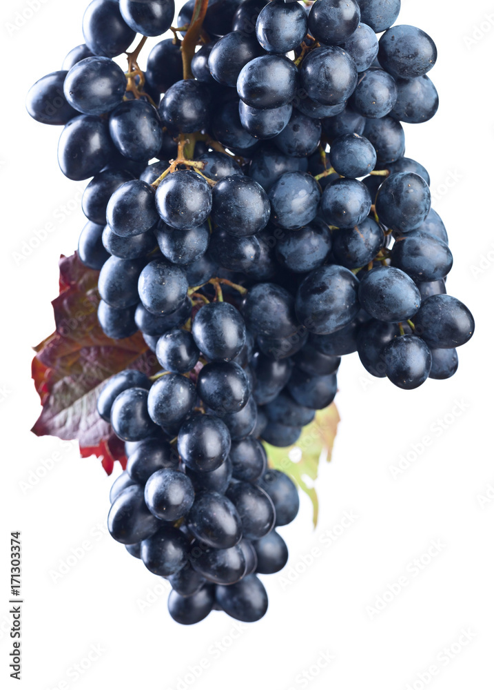Grapes bunch isolated on white background. Grapes bunch isolated on white background.