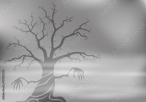 Tree in the fog.