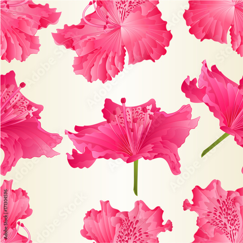 Seamless texture beautiful Flowers of pink Rhododendrons Ponticum  vector Illustration editable hand drawn