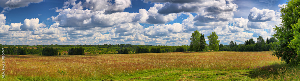 Panorama of the summer field and sky with clouds Panorama of the summer field and sky with clouds