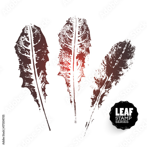 Vector design template. Ink splashes element from nature series. Dandelion Leaf print. Hand made Ink stamp of a leaf. Seasons changing. Three variants of print