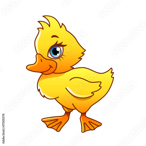 Cartoon duck isolated vector illustration