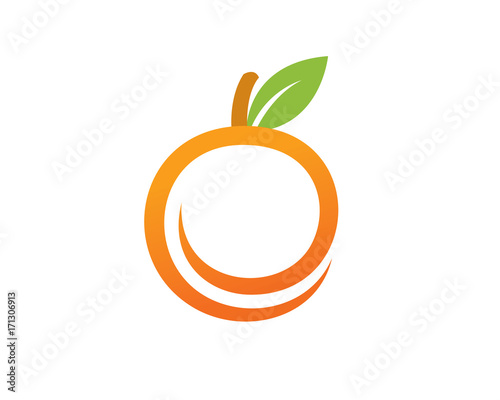 Orange and Fruit Logo