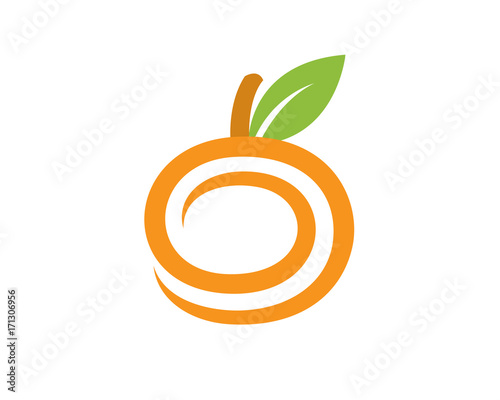 Orange and Fruit Logo